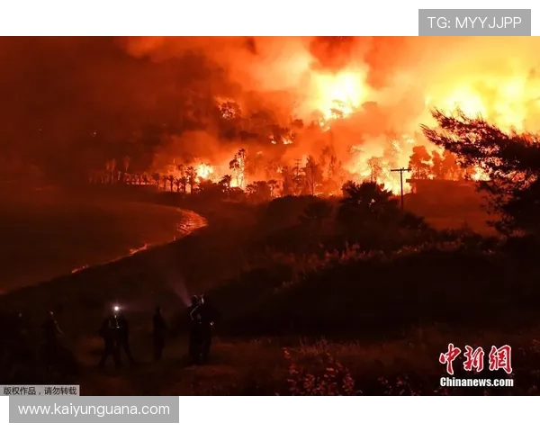 开云体育买波胆步骤避坑指南极速提现技巧 开云体育买波胆步骤避坑指南极速提现技巧